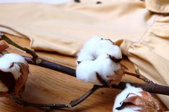 Coton bio